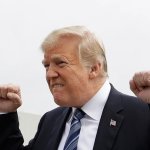 Trump sucks