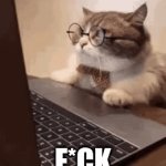 F*CK, yuck | F*CK | image tagged in gifs,funny cats | made w/ Imgflip video-to-gif maker