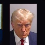 Trump pedohpile criminal convicted felon