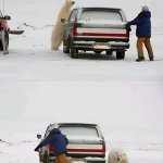 Polar bear encounter