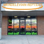 Mendelevian reptiles meme