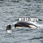 Playful GF/Wife | MY GF/WIFE; ME | image tagged in killer whale,couples,true love,playing | made w/ Imgflip meme maker