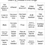 country_invader2346 bingo meme