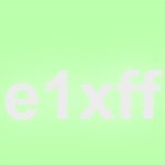 e1xff