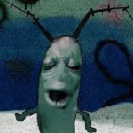 plankton