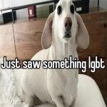 Just saw something lgbt