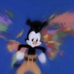 Yakko's World blurry