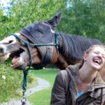 Laughing Horse