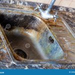 SoftwareEnginnering2025