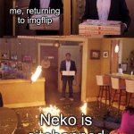 my best friend :( | me, returning to imgflip; Neko is sitebanned | image tagged in surprised pizza delivery | made w/ Imgflip meme maker