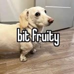 bit fruity meme