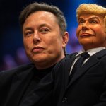 Elon Musk Donald Trump #Elonald ventriloquist dummy