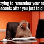 Inside look into my brain | Me trying to remember your name 
5 seconds after you just told me | image tagged in gifs,brain,remember,memory,monkeys | made w/ Imgflip video-to-gif maker