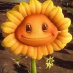 Happy Sunflower