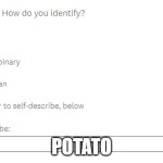 How do you self-identify? | POTATO | image tagged in how do you self-identify,gender identity,potato | made w/ Imgflip meme maker