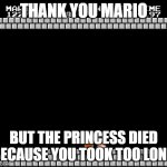 meme | THANK YOU MARIO; BUT THE PRINCESS DIED BECAUSE YOU TOOK TOO LONG | image tagged in thank you mario | made w/ Imgflip meme maker