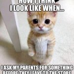 Cute Cat | HOW I THINK I LOOK LIKE WHEN…; I ASK MY PARENTS FOR SOMETHING BEFORE THEY LEAVE TO THE STORE | image tagged in memes,cute cat | made w/ Imgflip meme maker