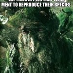 Oof | APPLE TREES WHEN YOU EAT THEIR APPLES THAT WERE MENT TO REPRODUCE THEIR SPECIES | image tagged in sad treebeard | made w/ Imgflip meme maker