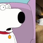 Dolfi & Brian