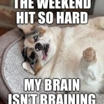 Mondays | THE WEEKEND HIT SO HARD; MY BRAIN ISN’T BRAINING | image tagged in mondays | made w/ Imgflip meme maker