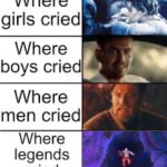 I cannot deactivate until you say you are satisfied with your care. | image tagged in where legends cried,big hero 6 | made w/ Imgflip meme maker