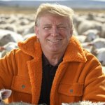 Donald Trump Orange sheepsking jacket flock of sheep