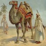 Arab Merchant