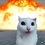 Explosion cat