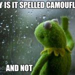 think about it | WHY IS IT SPELLED CAMOUFLAGE; AND NOT | image tagged in kermit window | made w/ Imgflip meme maker