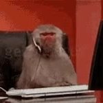 Monkey GIF Template