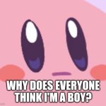 ..... | WHY DOES EVERYONE THINK I'M A BOY? | image tagged in blank kirby face,bruh | made w/ Imgflip meme maker