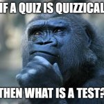 iF... | IF A QUIZ IS QUIZZICAL; THEN WHAT IS A TEST? | image tagged in deep thoughts | made w/ Imgflip meme maker