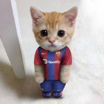 The cat El Gato is for Barcelona meme