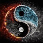 $YING YANG