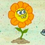 Come Again SpongeBob Flower