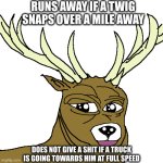 the legend of buc the deer | RUNS AWAY IF A TWIG SNAPS OVER A MILE AWAY; DOES NOT GIVE A SHIT IF A TRUCK IS GOING TOWARDS HIM AT FULL SPEED | image tagged in the legend of buc the dear | made w/ Imgflip meme maker