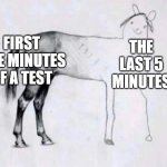 Horse Drawing | FIRST FIVE MINUTES OF A TEST; THE LAST 5 MINUTES | image tagged in horse drawing | made w/ Imgflip meme maker