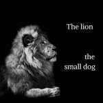 The lion and dog