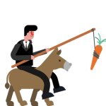 Donkey Carrot Stick