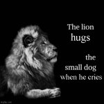 The Lion | hugs; when he cries | image tagged in the lion and dog | made w/ Imgflip meme maker