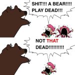 Bear Play Dead