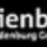 Medienboard (Shelet Deutch) Logo