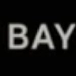 FFF BAYERN LOGO!!!!!