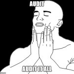 audit | AUDIT; AUDIT IT ALL | image tagged in feels good man | made w/ Imgflip meme maker