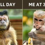 Me all day VS. 3 AM