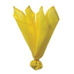 NFL Penalties flag