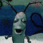 plankton moan