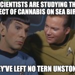 Spock and Kirk, For the Birds | SCIENTISTS ARE STUDYING THE EFFECT OF CANNABIS ON SEA BIRDS. THEY'VE LEFT NO TERN UNSTONED. | image tagged in spock and kirk | made w/ Imgflip meme maker