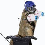 sports moai