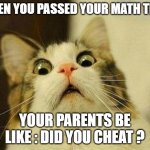 Fun | WHEN YOU PASSED YOUR MATH TEST; YOUR PARENTS BE LIKE : DID YOU CHEAT ? | image tagged in memes,scared cat | made w/ Imgflip meme maker